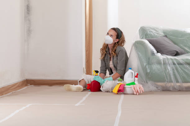 Reliable Commercial Mold Remediation contractor in Germantown, TN by WQB Mold Removal